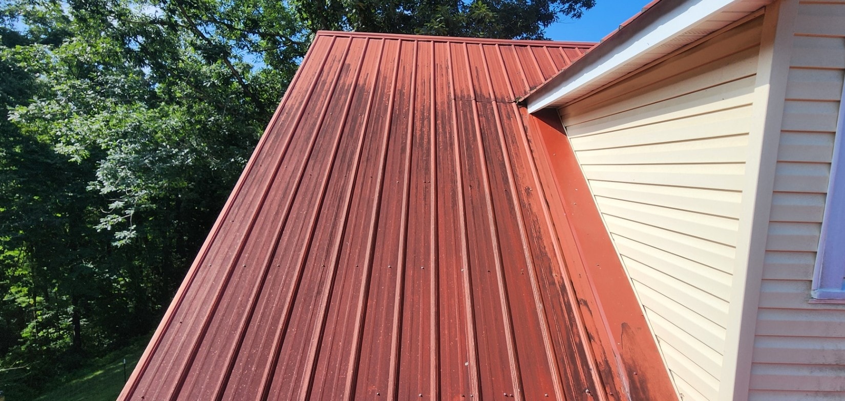 Red metal roof house surrounded by trees before cleaning